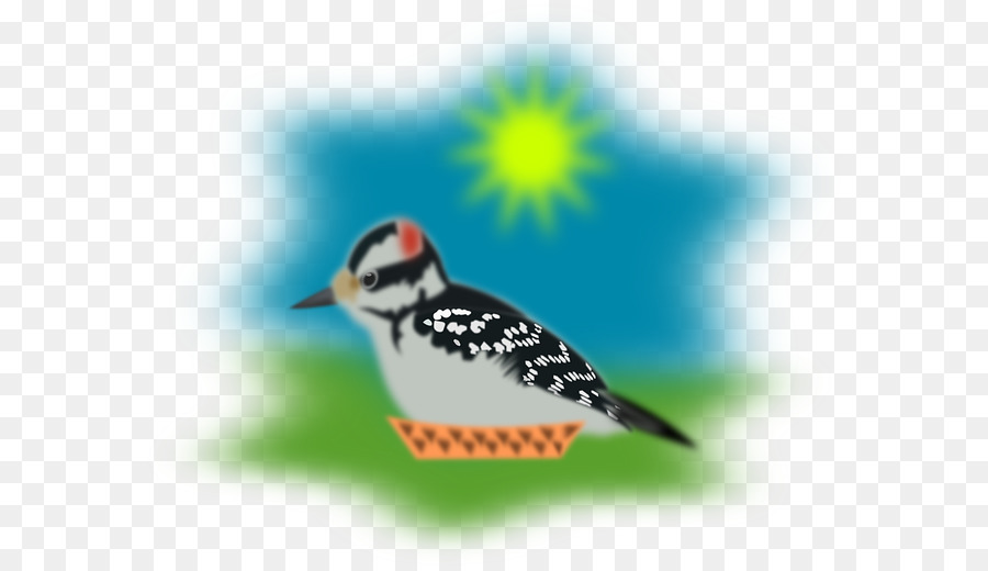 Pardal，Aves PNG