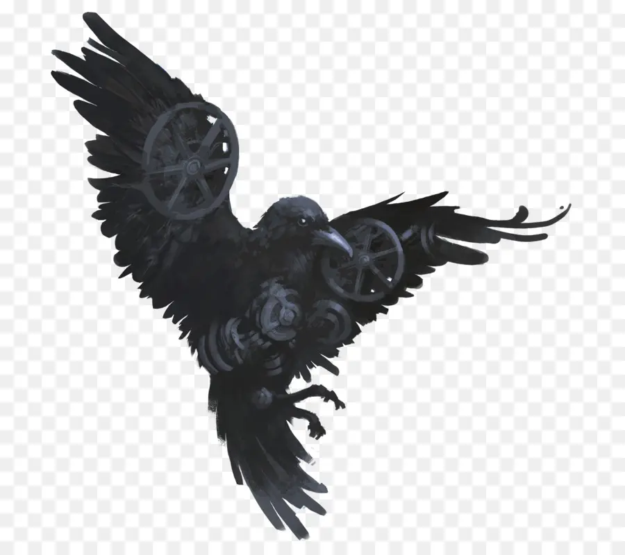 Raven，Desenho PNG