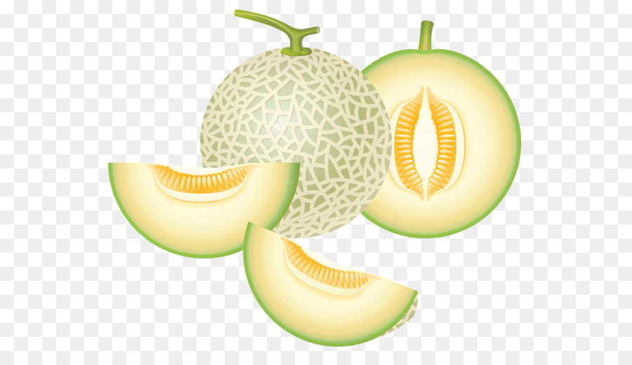 Melão，Honeydew PNG