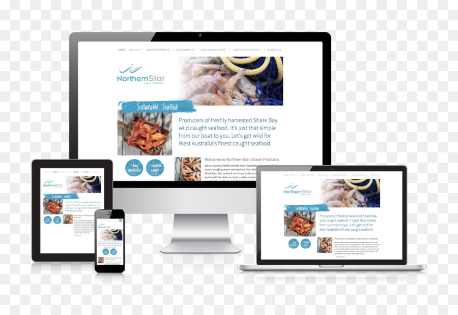 Responsive Web Design，Desenvolvimento Web PNG