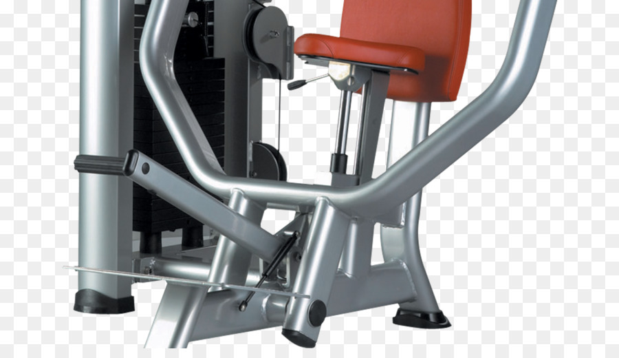 Equipamento De Ginástica，Exercício PNG