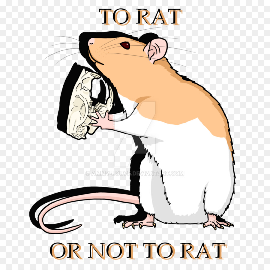 Roedores，Rat PNG