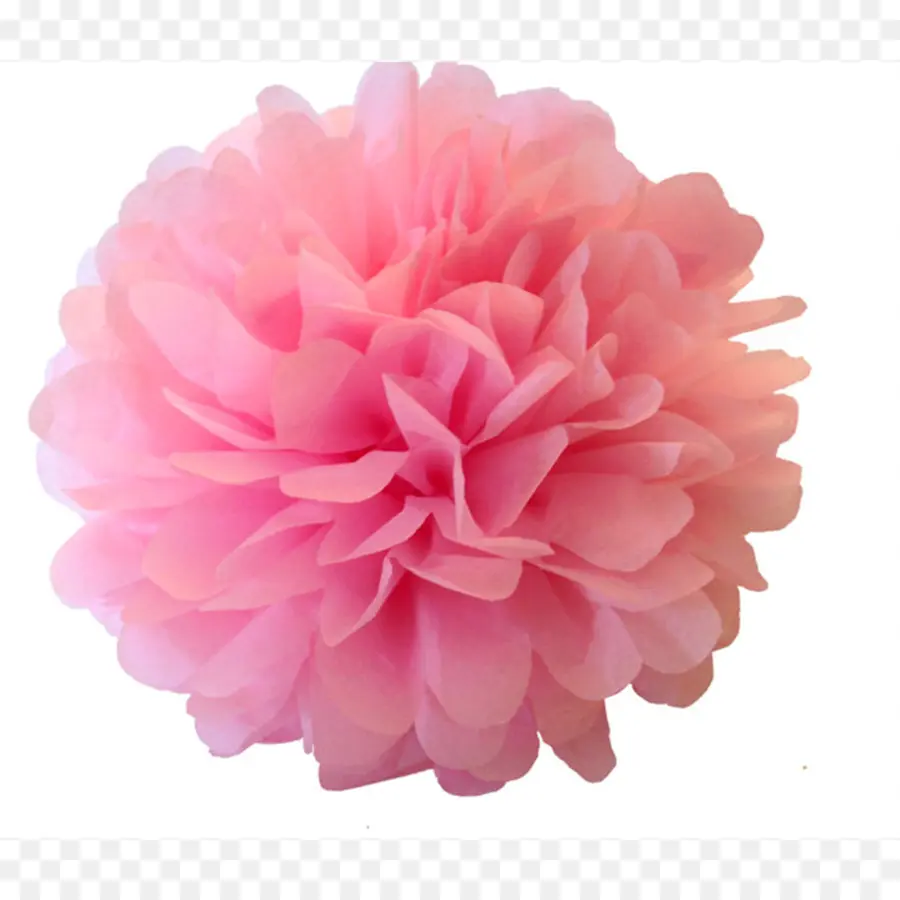 Pompom，Papel PNG