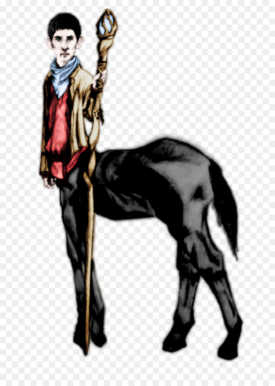 Cavalo，O Comportamento Humano PNG