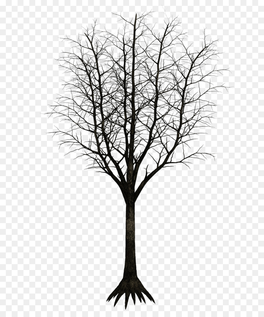 árvore，Desenho PNG