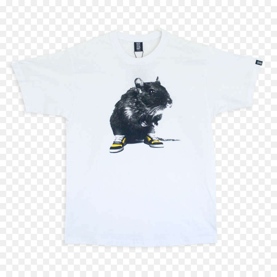 Tshirt，Vestuário PNG