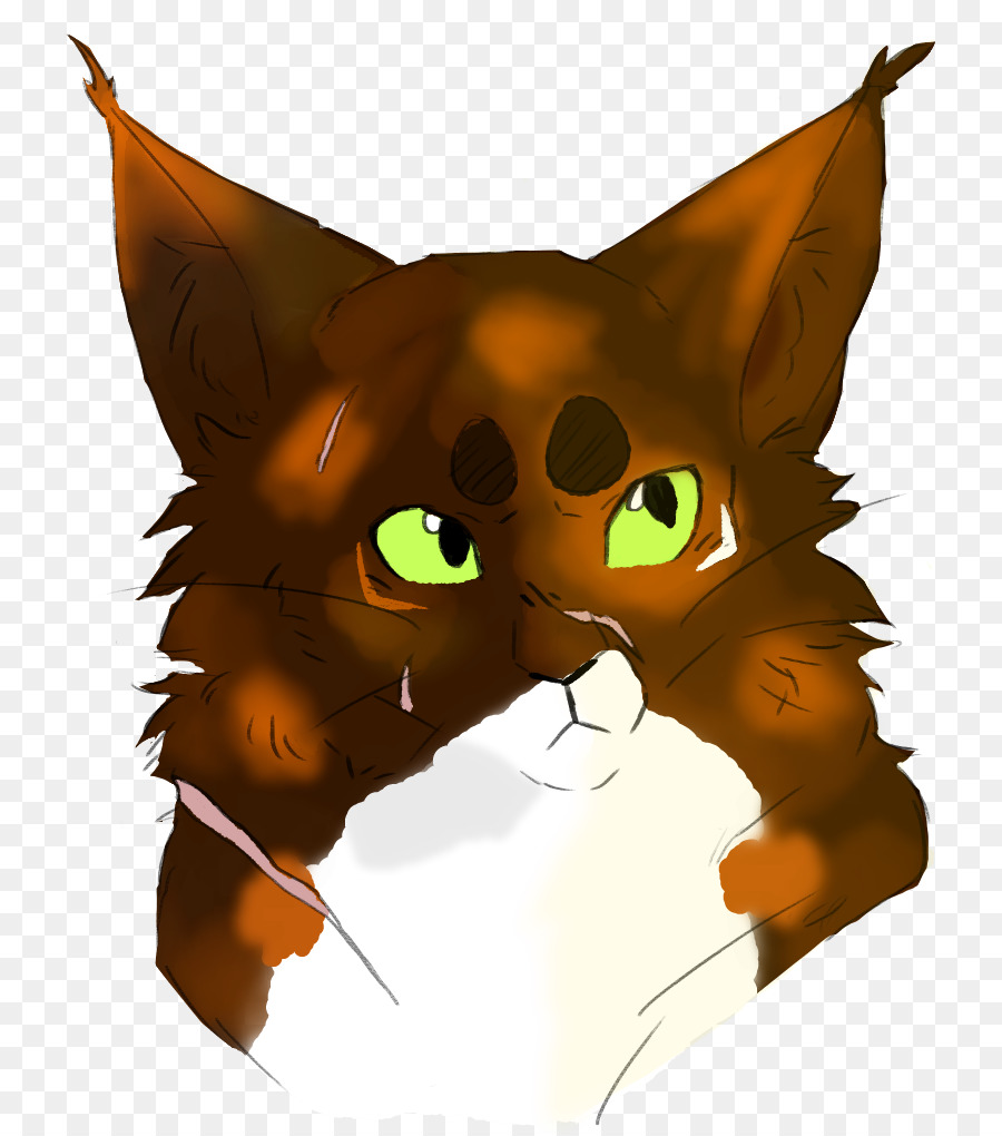 Gato，Bigodes PNG