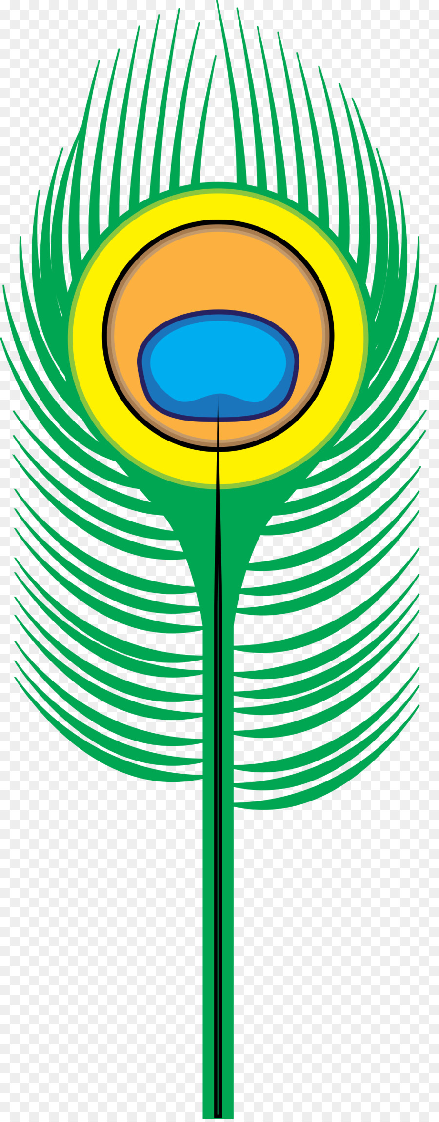 Pena De Pavão，Colorido PNG