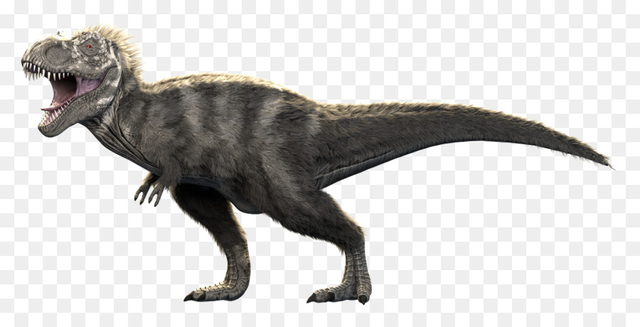 Allosaurus，Tiranossauro PNG