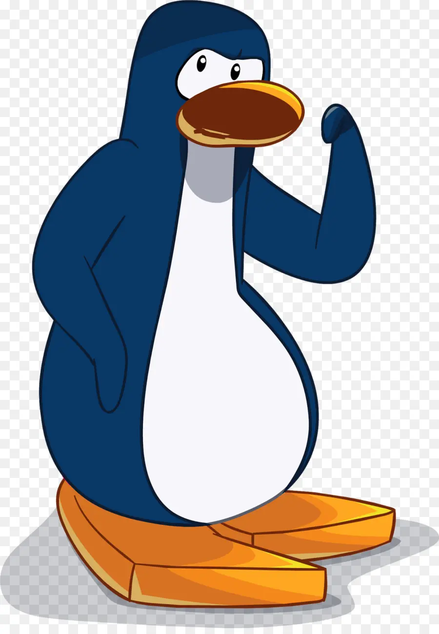 Pinguim，Pássaro PNG