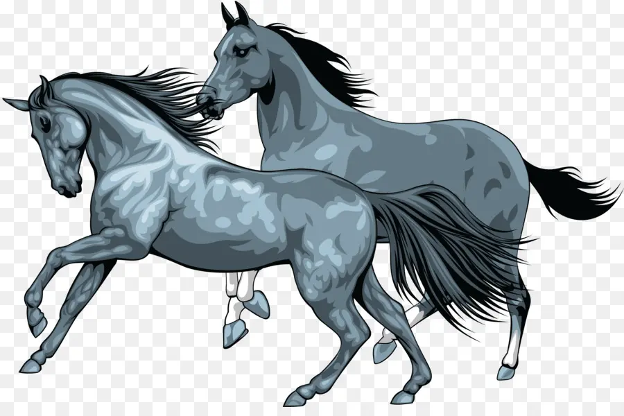 Cavalos Correndo，Animais PNG