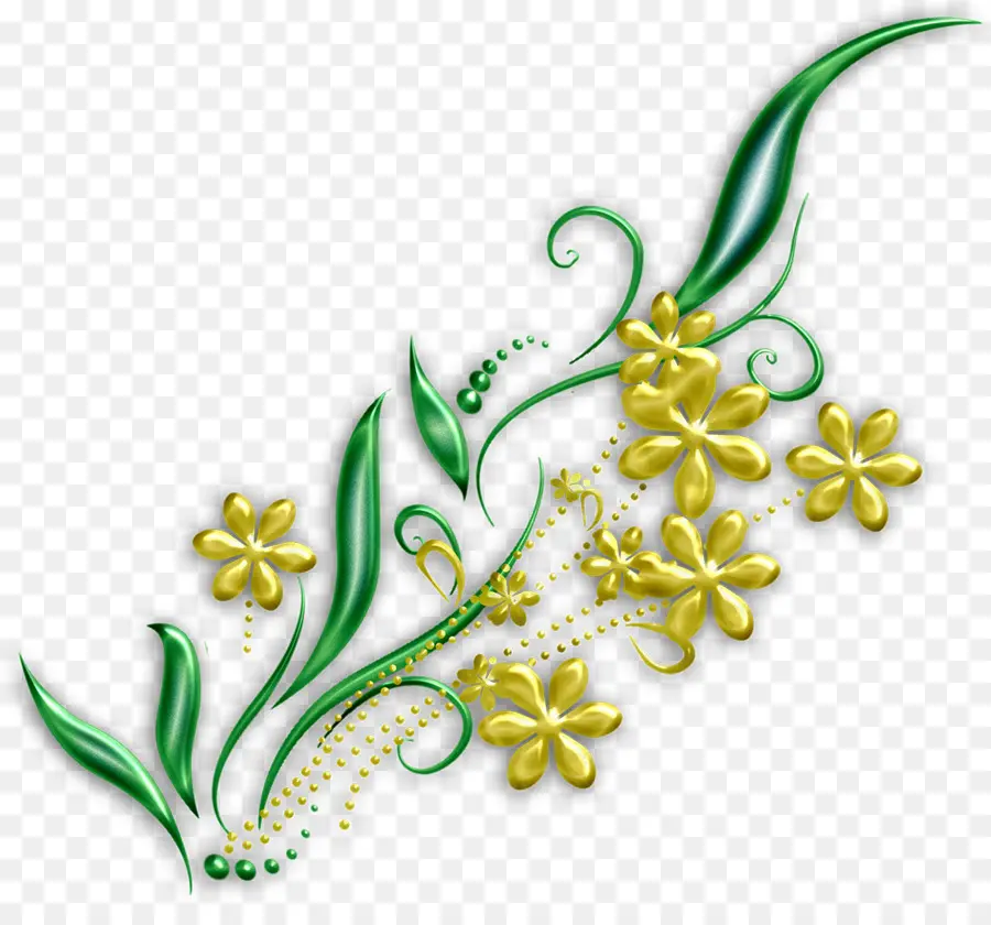 Flor，Cor PNG