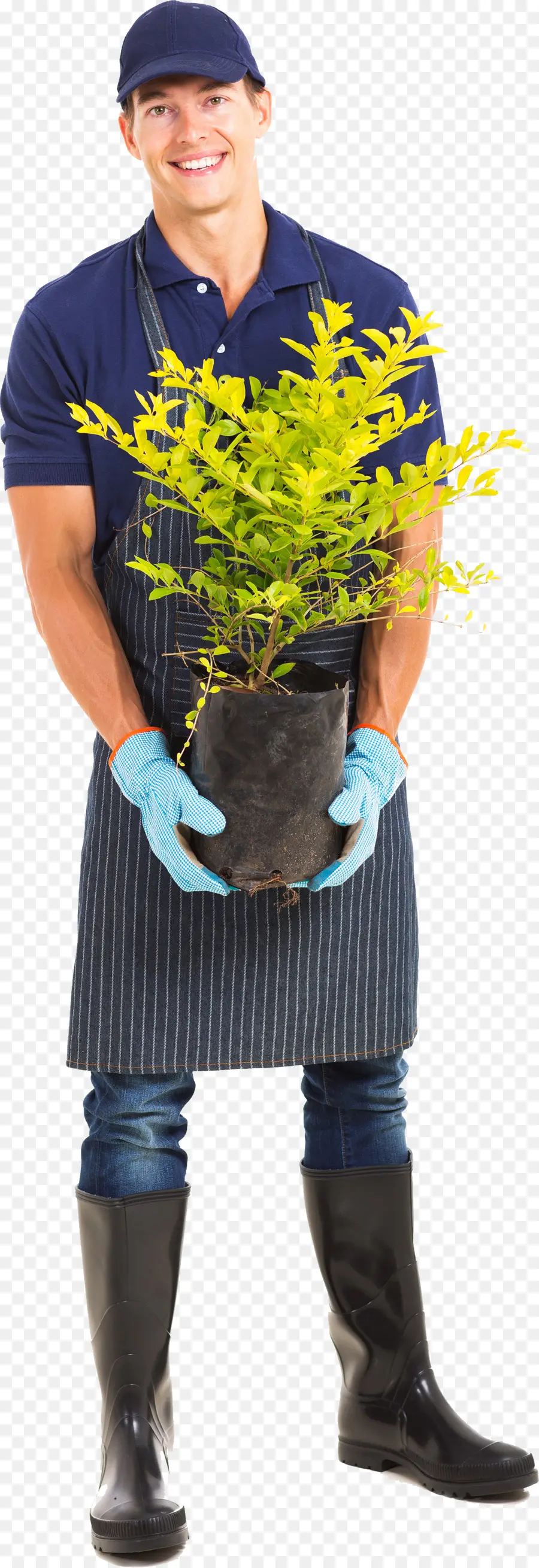 Homem Segurando Planta，Homem PNG