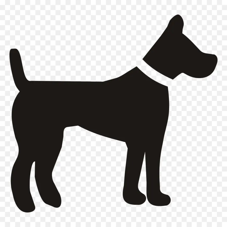 Cão，Babá De Animais PNG