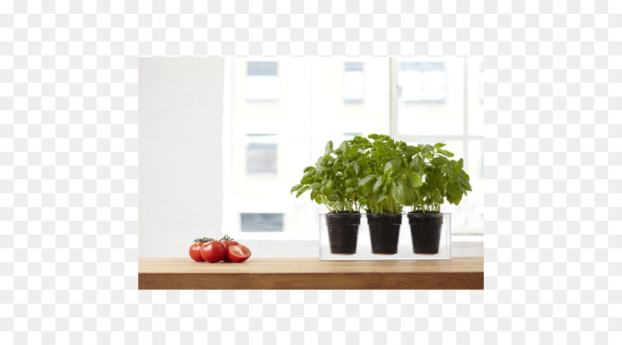 Flowerpot，Planta PNG