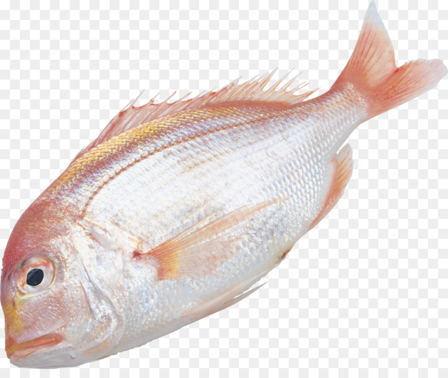 Peixe，Informações PNG
