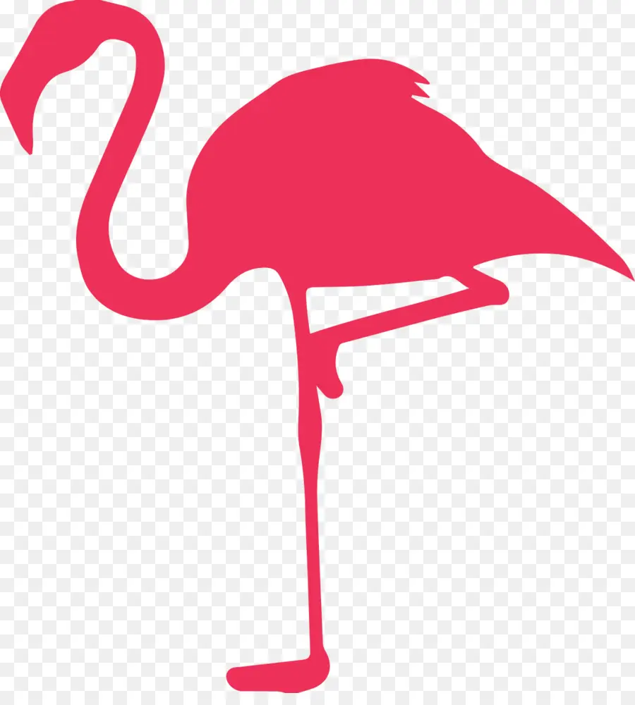 Flamingo Rosa，Pernas PNG