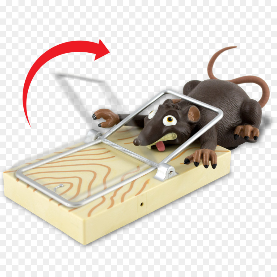 Rat，Mouse PNG