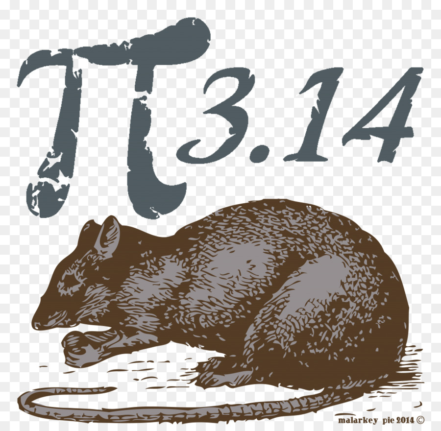 Dia Do Pi，Pi PNG