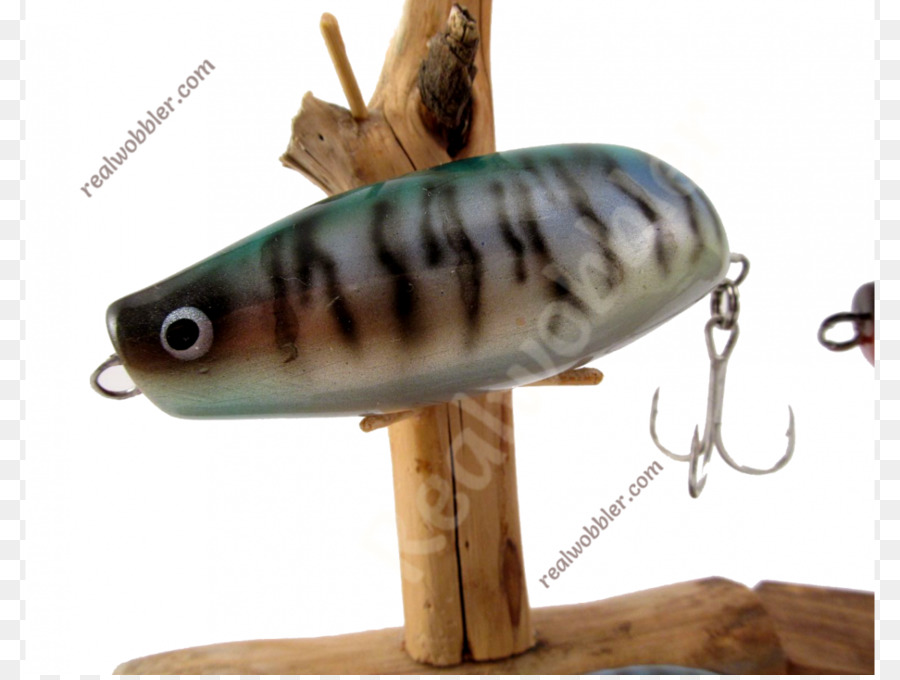 A Pesca De Iscas Iscas，Isca De Pesca PNG