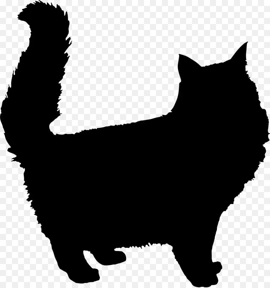 Silhueta De Gato Preto，Felino PNG