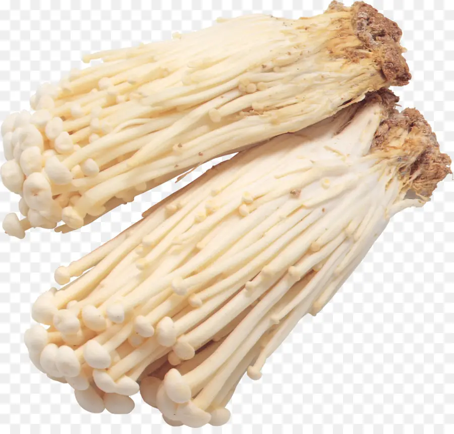 Enokitake，Cogumelo PNG