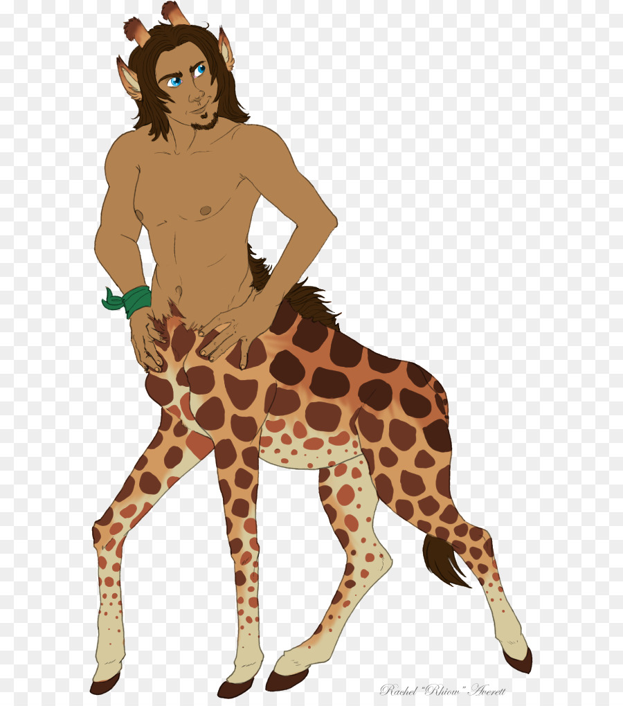 Girafa，Desenho PNG