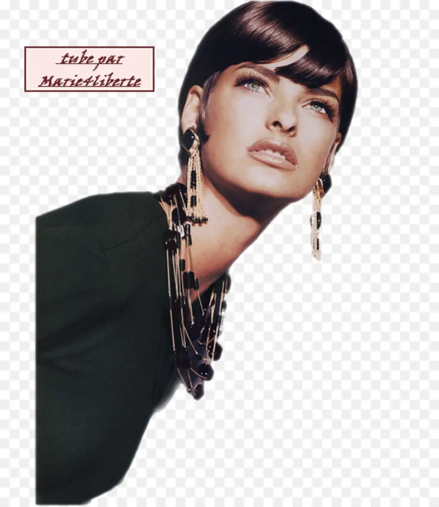 Linda Evangelista，Versace PNG