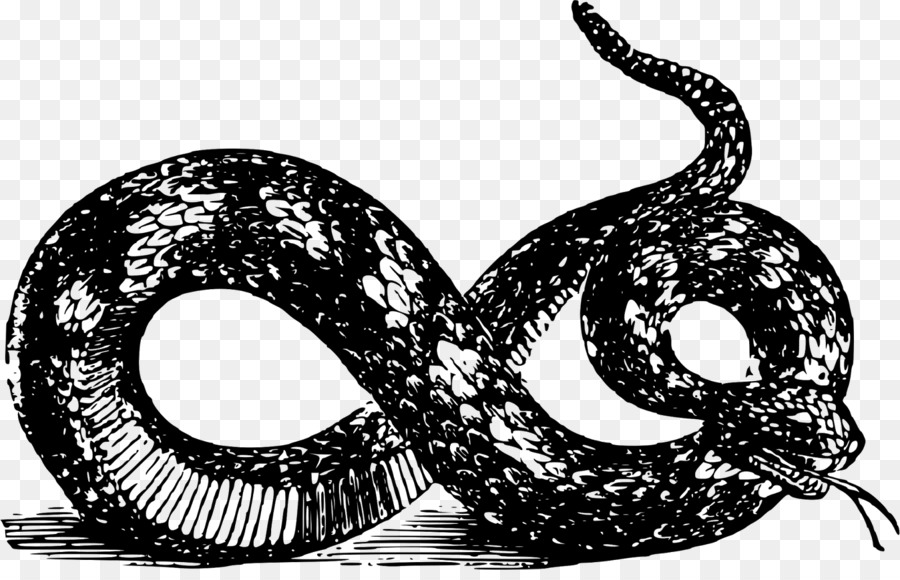 Cobra，Libertarianismo PNG