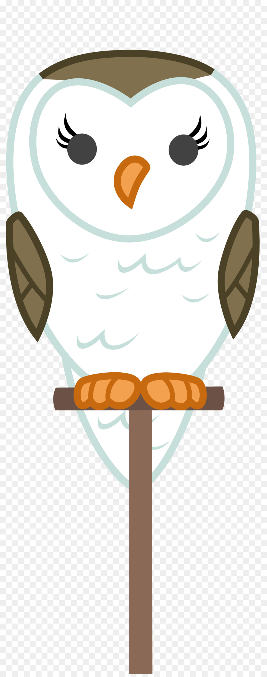 Aves，Vertebrados PNG