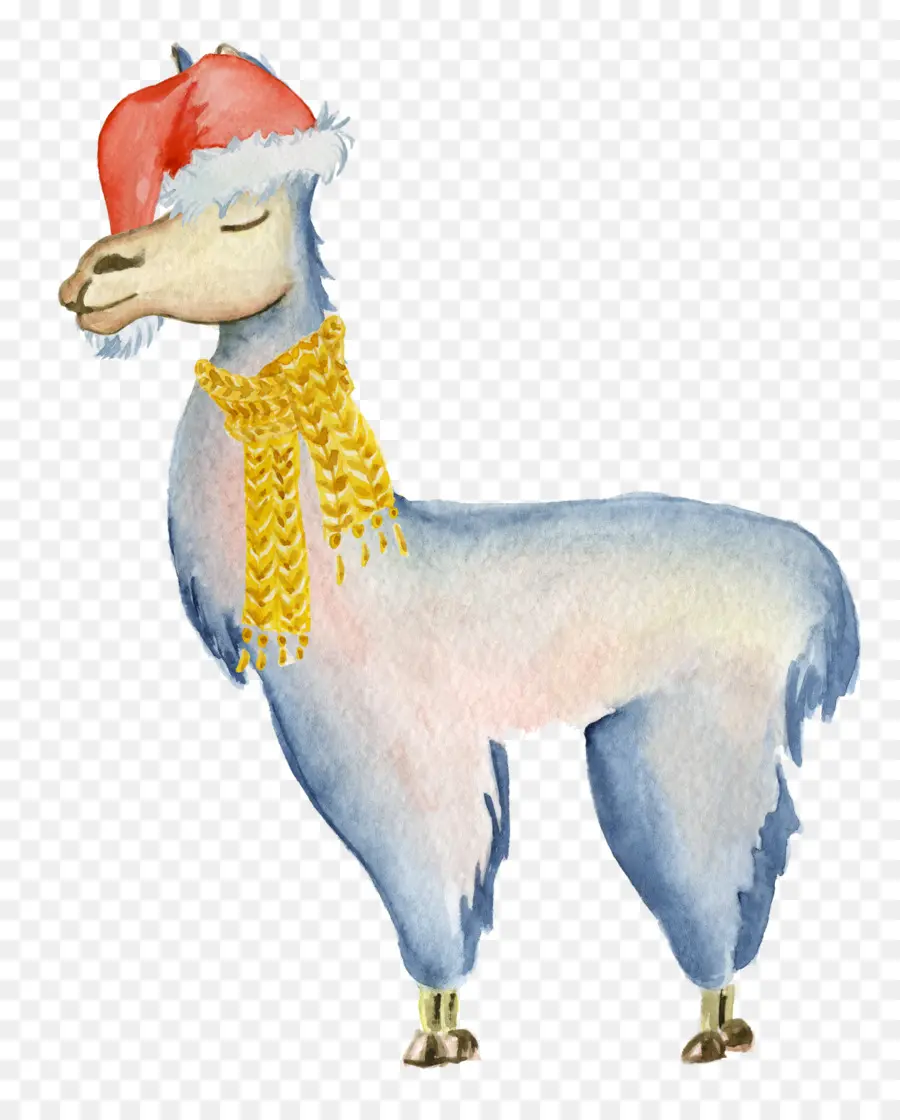 Lhama，Alpaca PNG