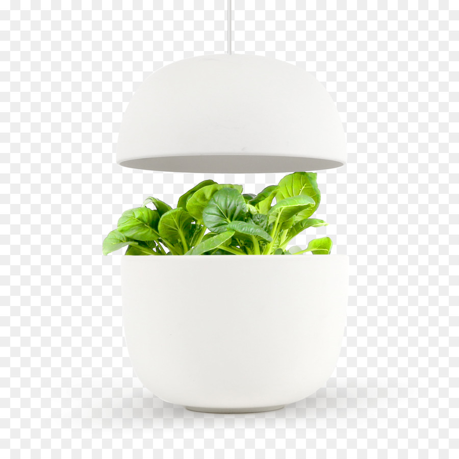 Vaso Branco Com Planta Verde，Pote PNG