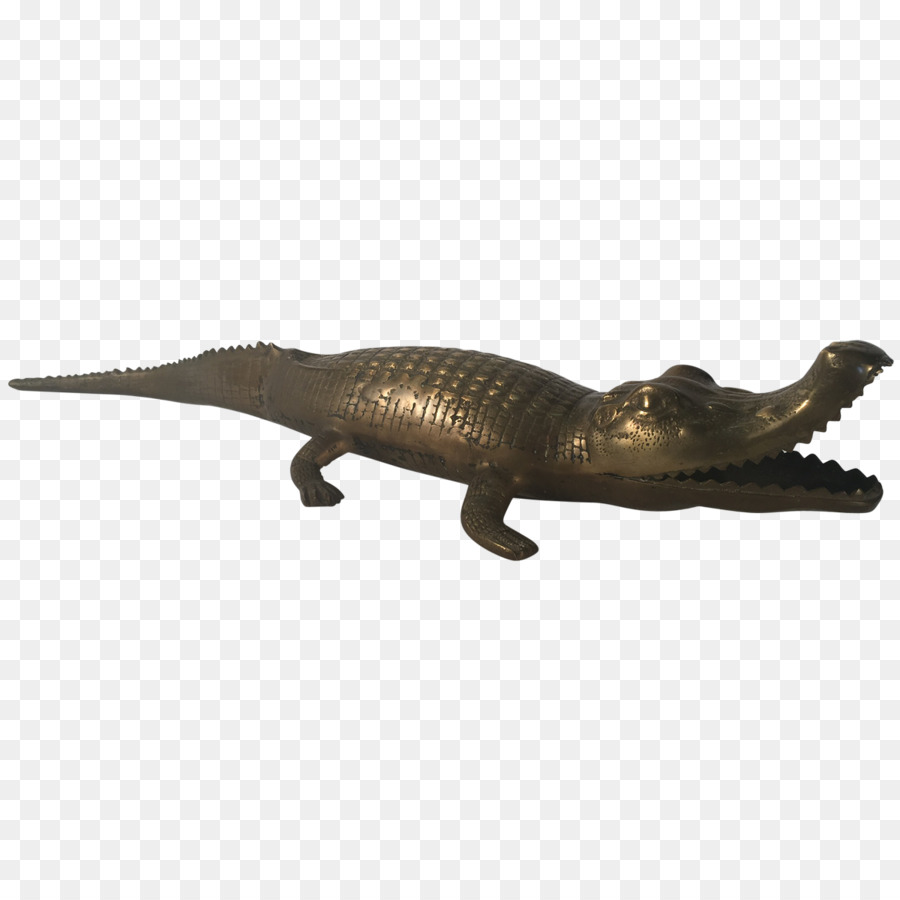 Crocodilo，Réptil PNG