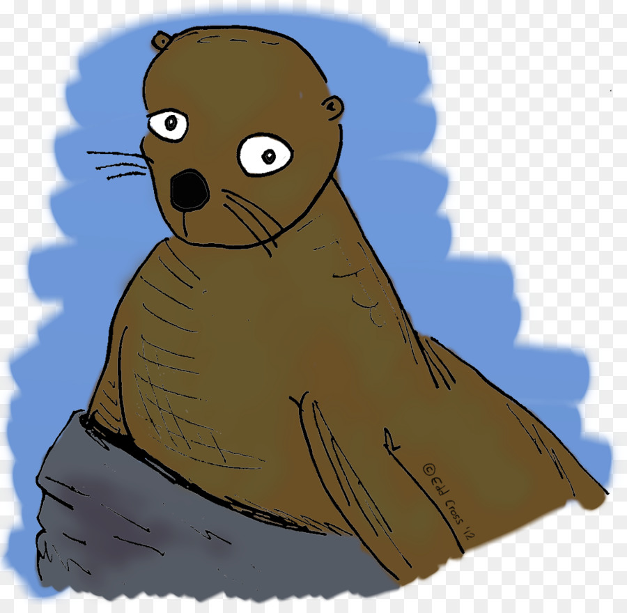 Urso，Castor PNG