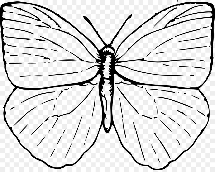 Desenho De Borboleta，Inseto PNG