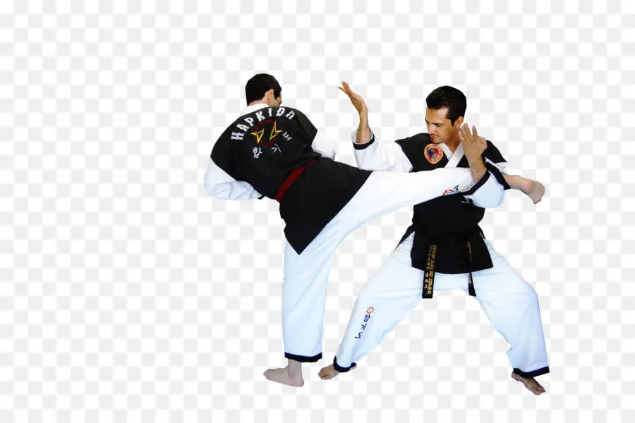 Hapkido，Artes Marciais PNG