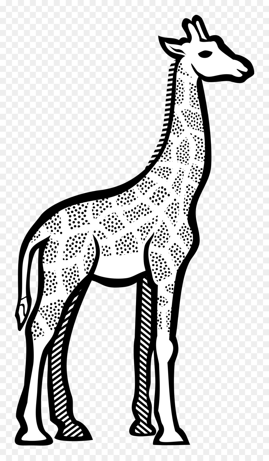 Desenho De Girafa，Animal PNG