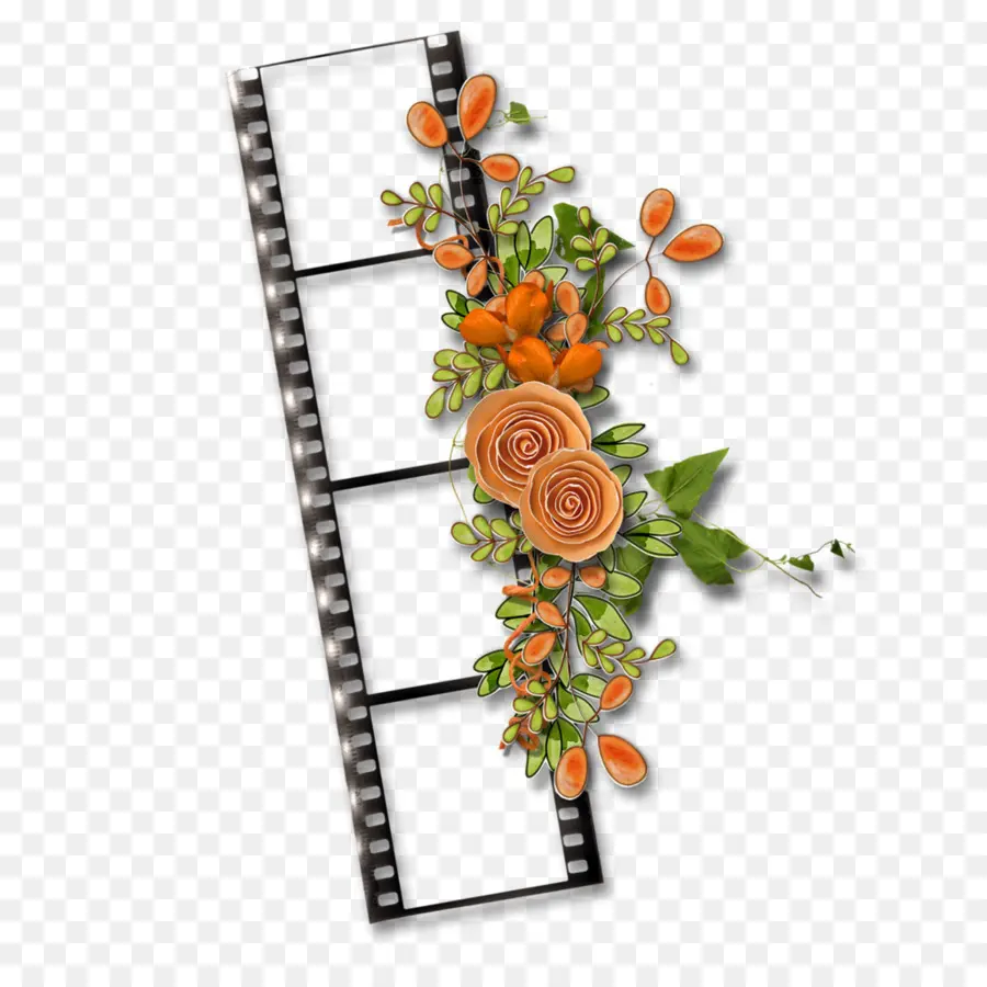 Tira De Filme，Flores PNG