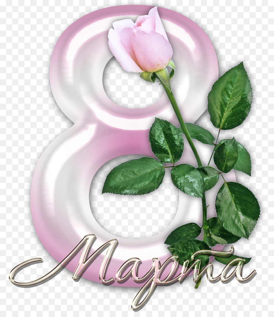 8 De Março，Rosa PNG