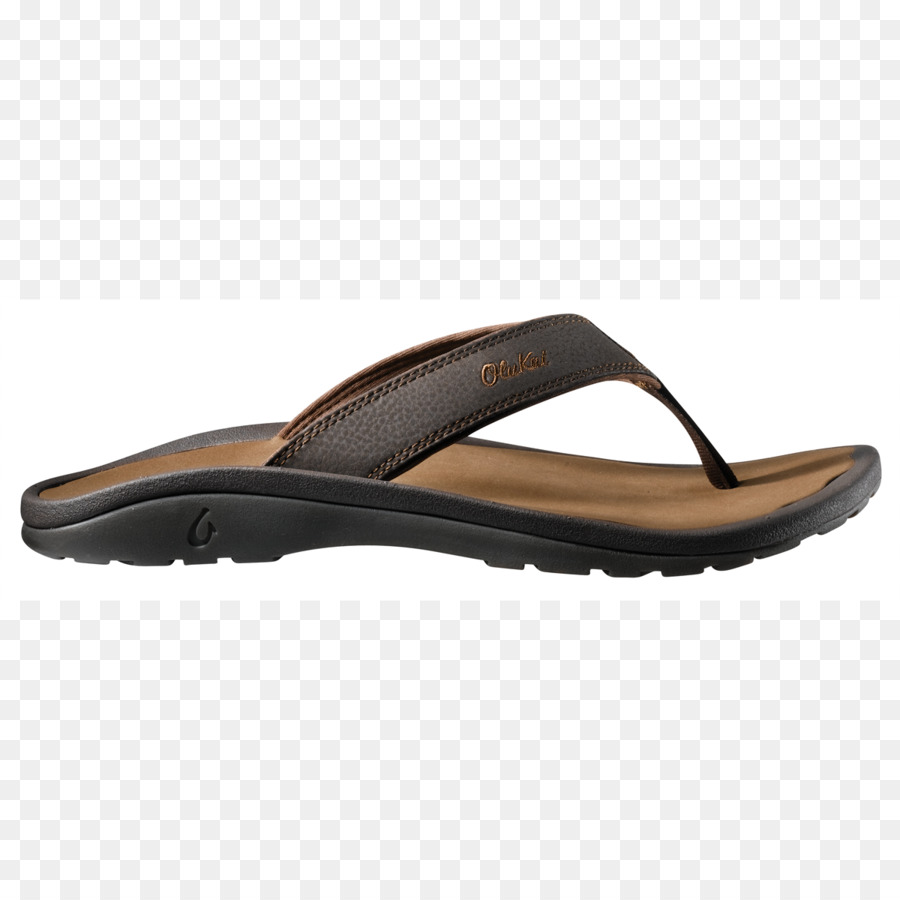 Chinelo Preto，Sandália PNG