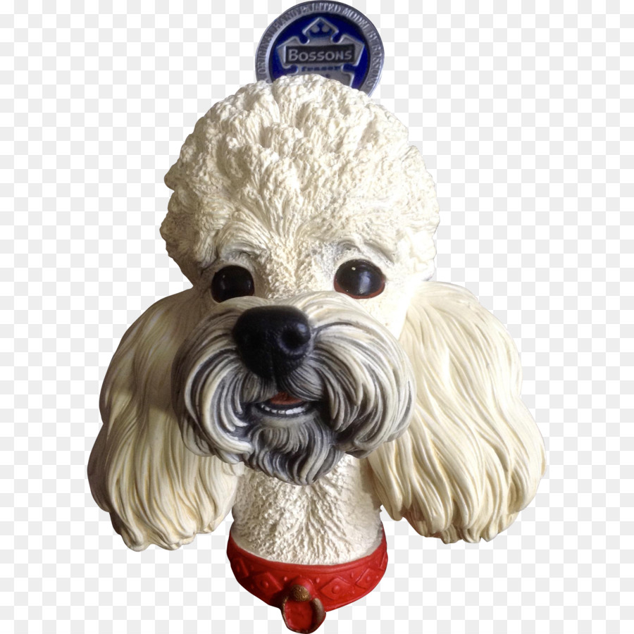 Poodle，Schnoodle PNG