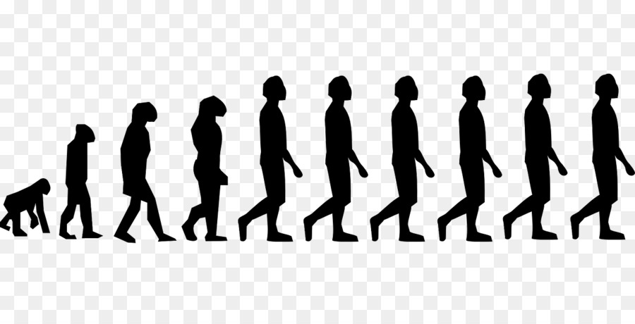 Evolução Humana，Desenvolvimento PNG