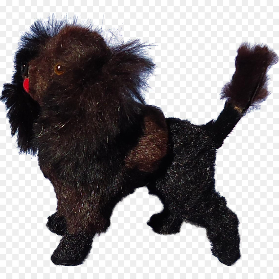 Affenpinscher，Raça Do Cão PNG