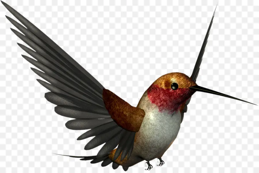 Colibri，Vôo PNG