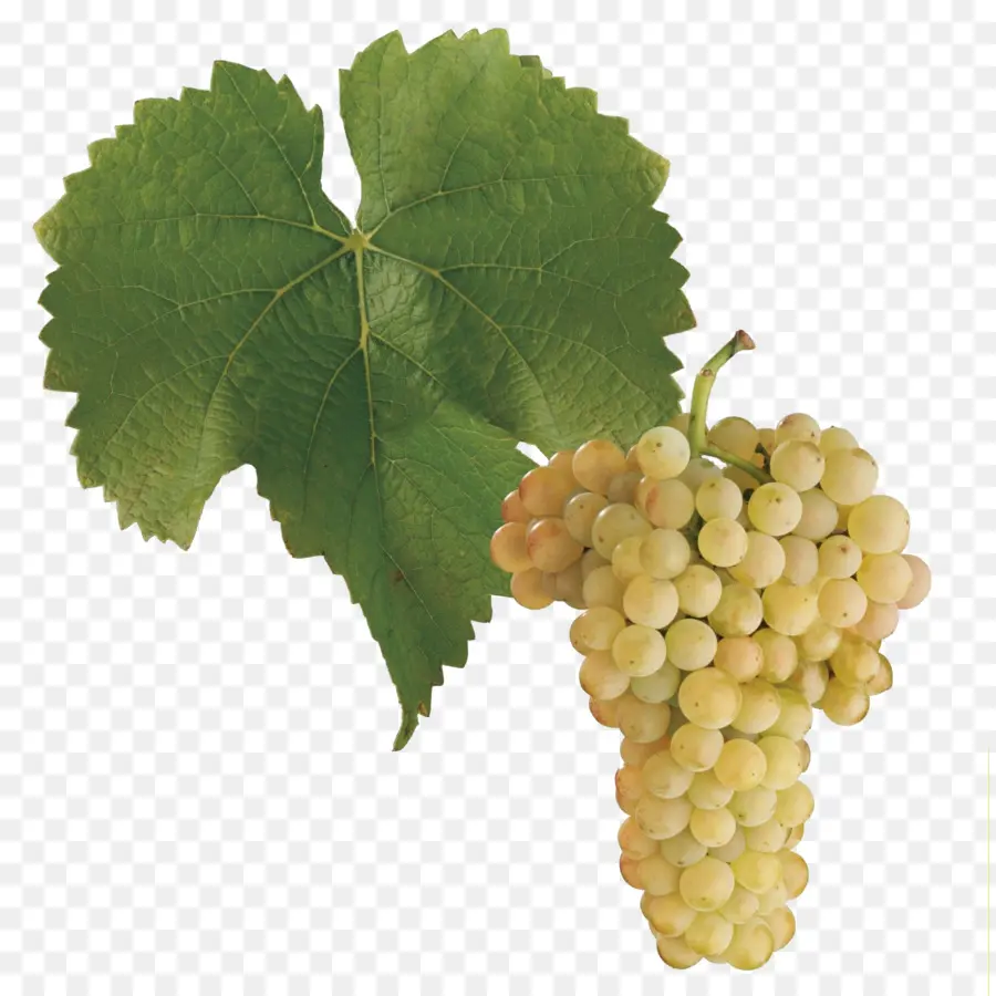 Uvas Verdes，Verde PNG