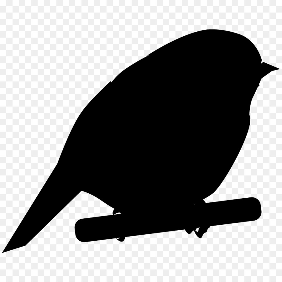 Aves，Tudo Sobre Aves PNG