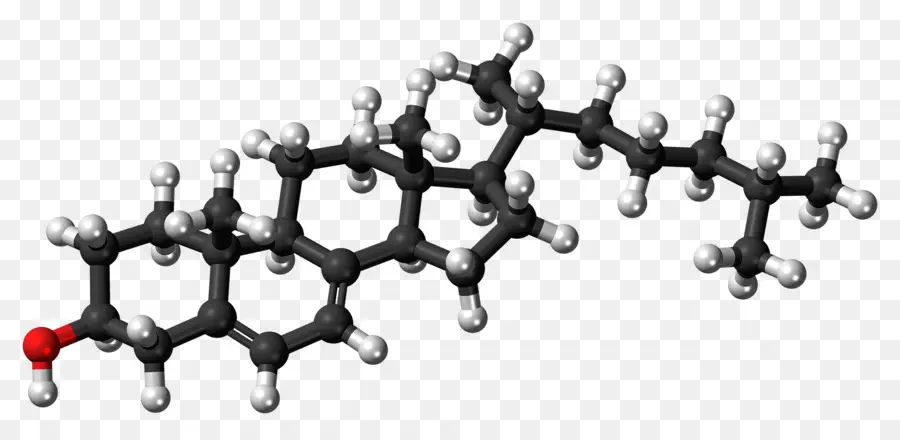 Estrutura Molecular，Química PNG