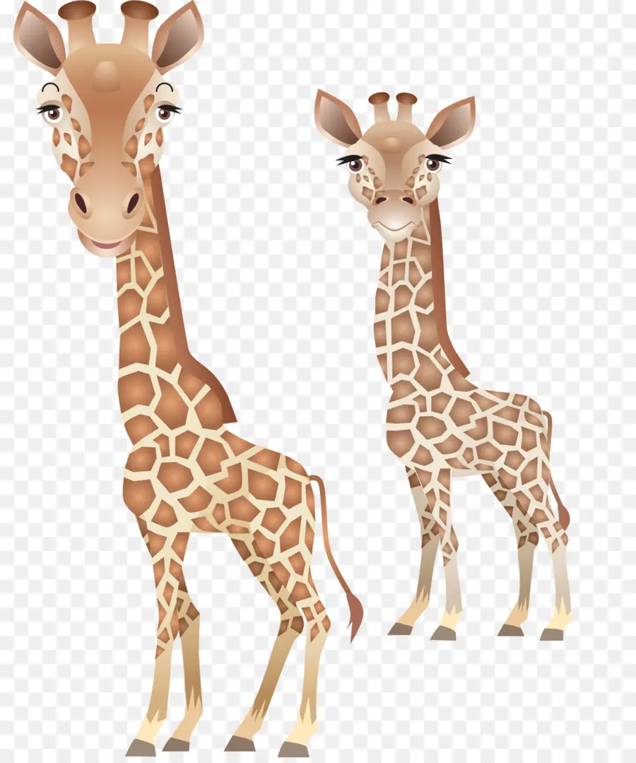 Girafas，Aquarela PNG