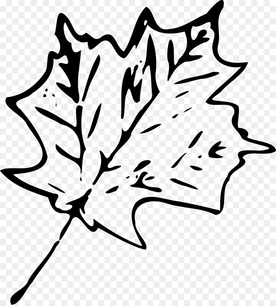 Maple Leaf，Canadá PNG