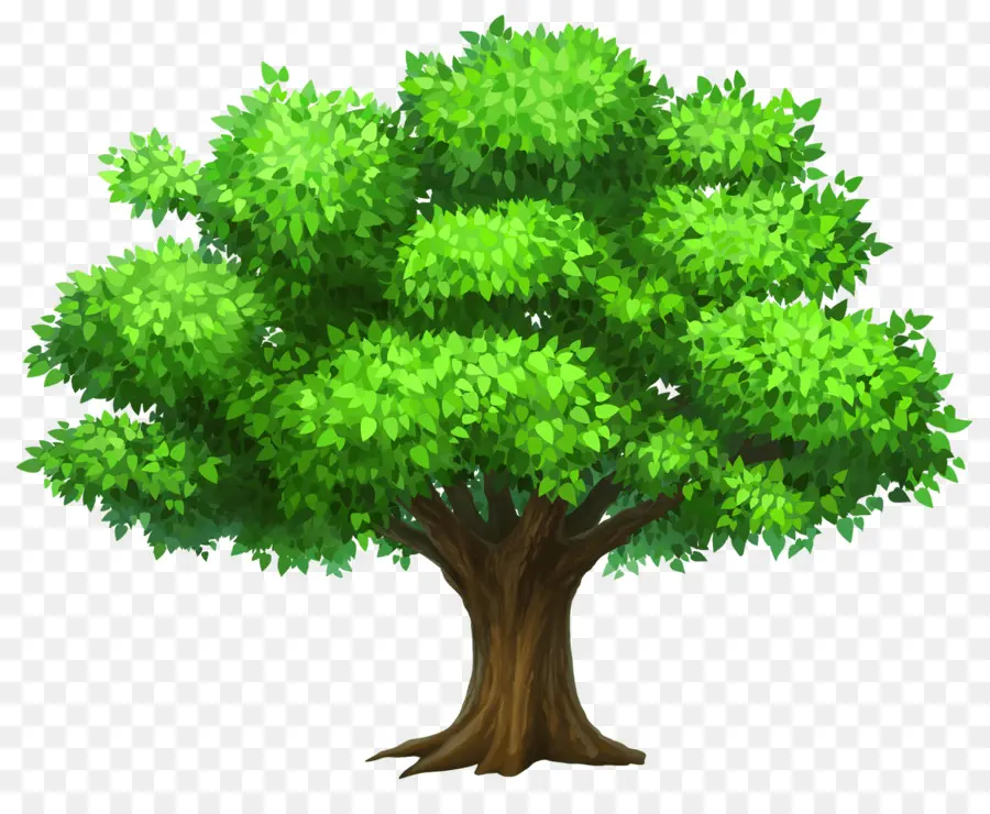árvore，Papel De Parede Da área De Trabalho PNG